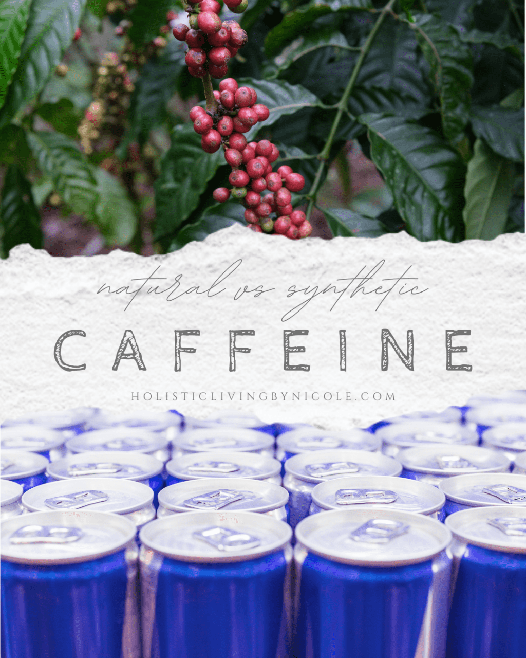 Synthetic vs Natural Caffeine: What You Need to&nbsp;Know